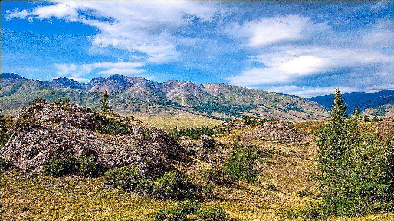 пейзаж, горы, лето, Горнвй Алтай, Александр Потапов