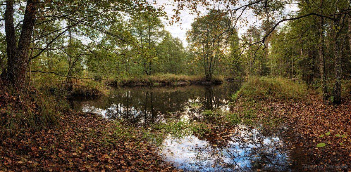 , Хохряков Николай