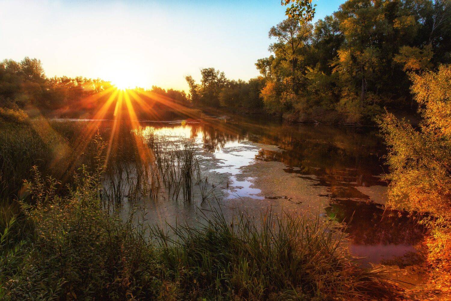 , Павел Сагайдак