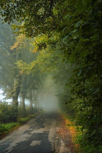 beginning of autumn..