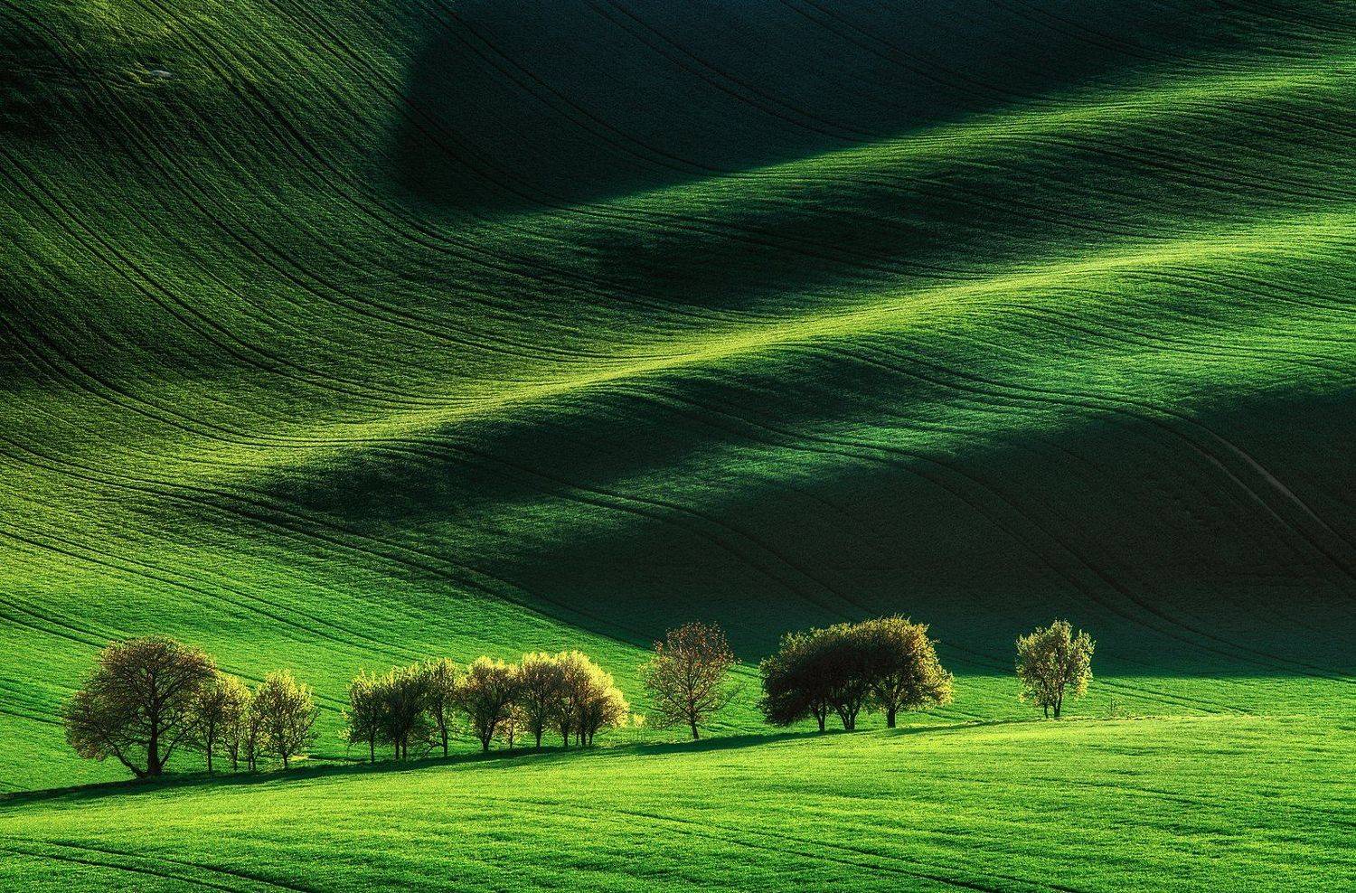 , Сергей Давыдов