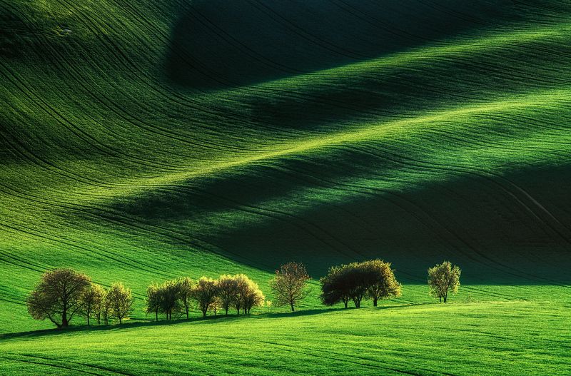 Fifty shades of green фото превью