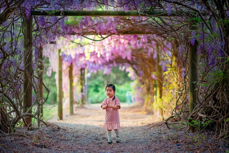 purplevine... фото превью