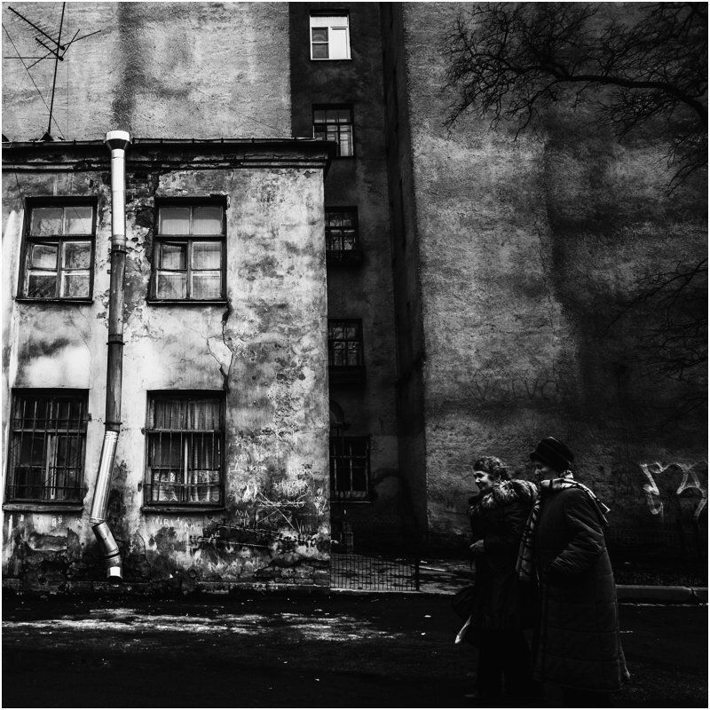 116 фото превью