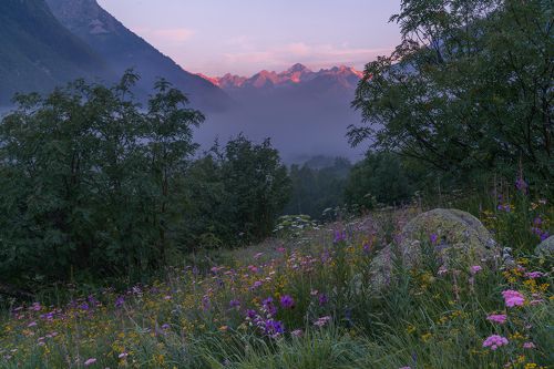 Горные луга Кавказа.