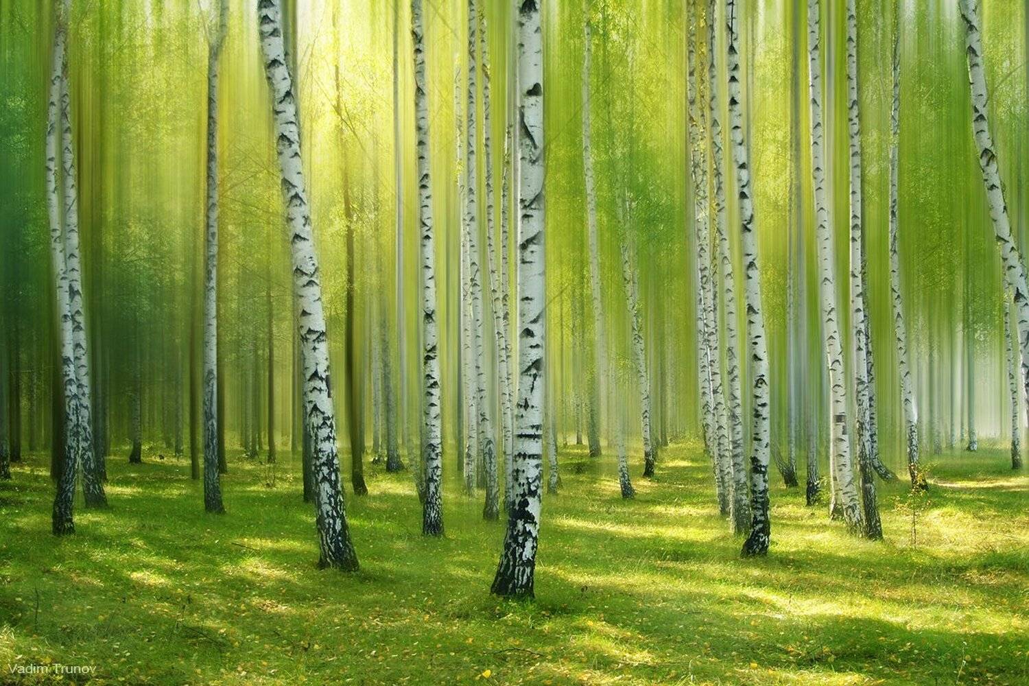 , Вадим Трунов