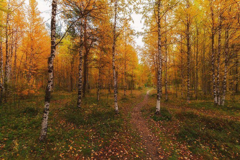 Осенний сентябрь фото превью