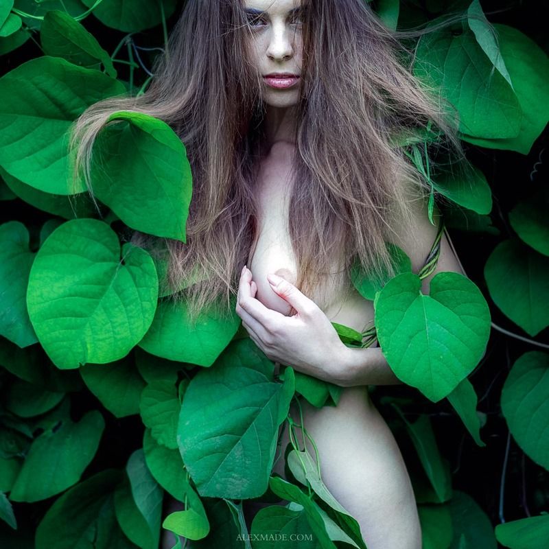 фото превью