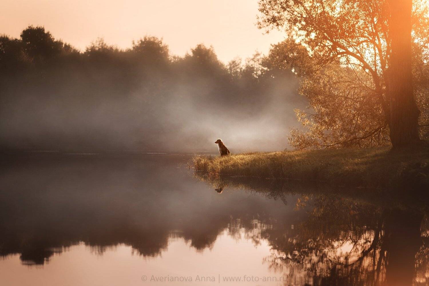 , Анна Аверьянова