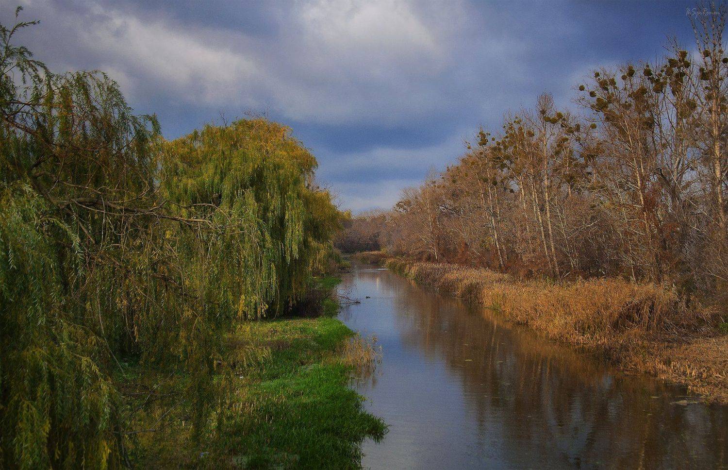 осень,утро,берег,река, Roma  Chitinskiy