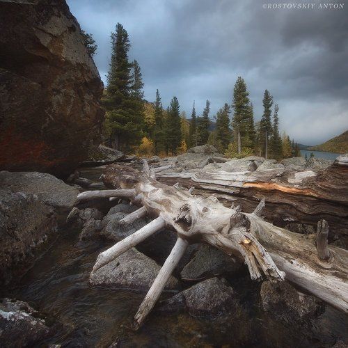 на Мультинских