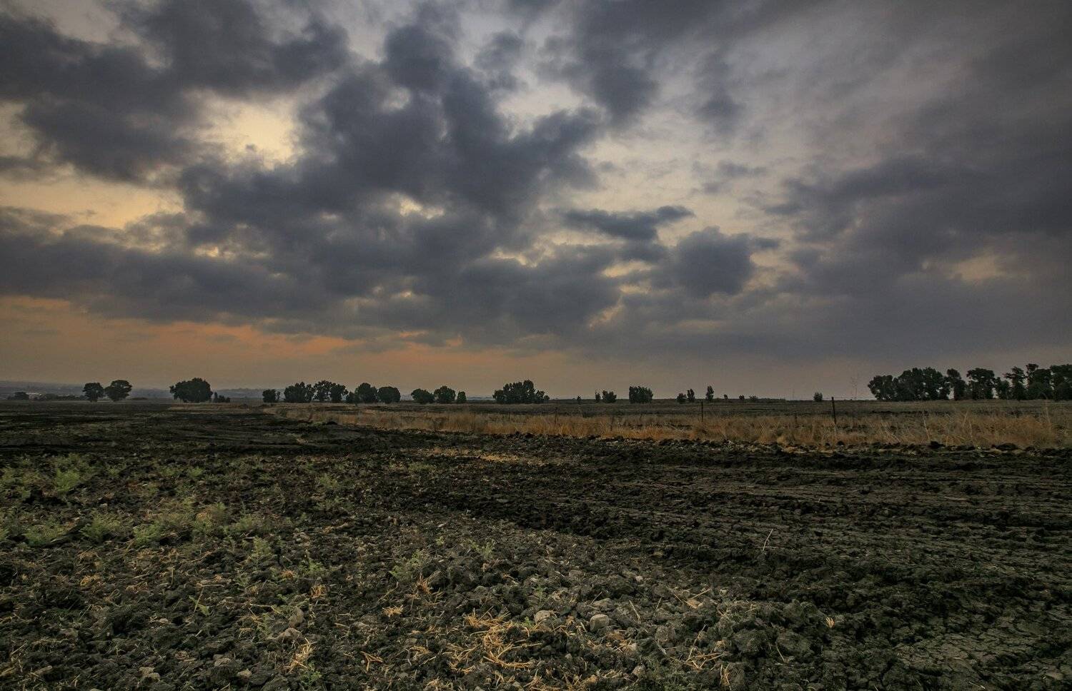 #израеельская долина# ранним утром, Leonid Lan