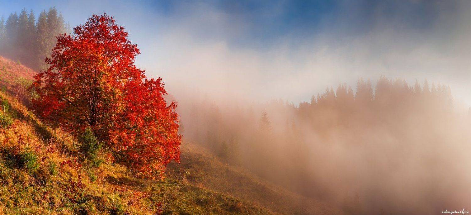 рассвет, туман, карпаты, горы, осень, Антон Петрусь
