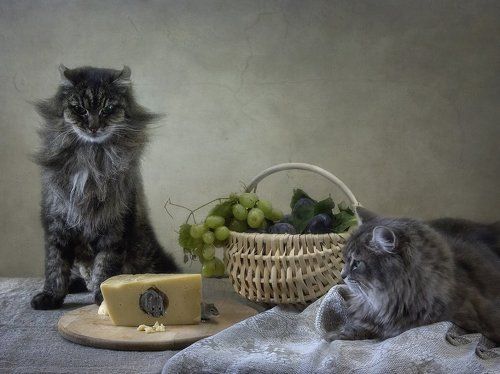 Мышиная охота