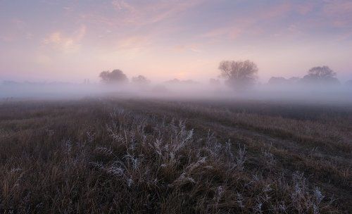 Туманные рассветы. От весны до осени.