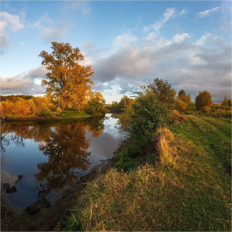 ласьва пермь река золотая осень жёлтый краски небо деревья Золотая осень на Ласьве. фото превью