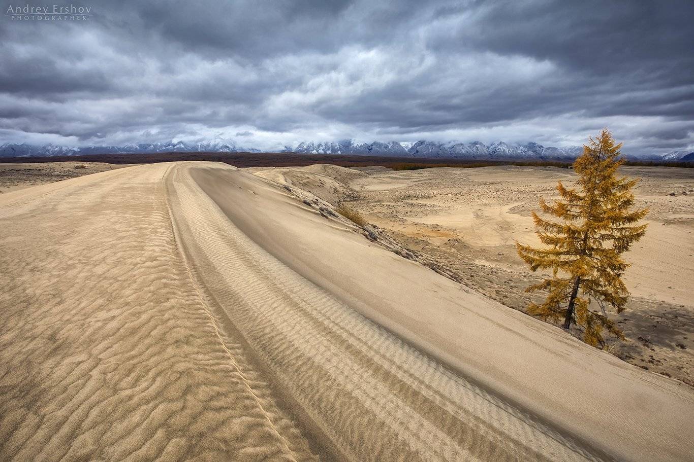 , Андрей Ершов