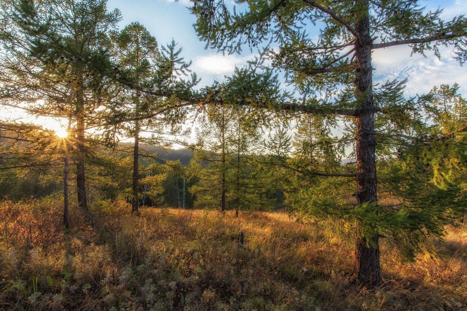 , Павел Сагайдак