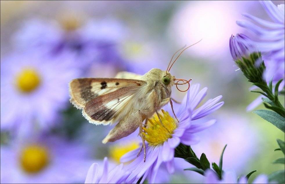 , Сергей Фудиненко