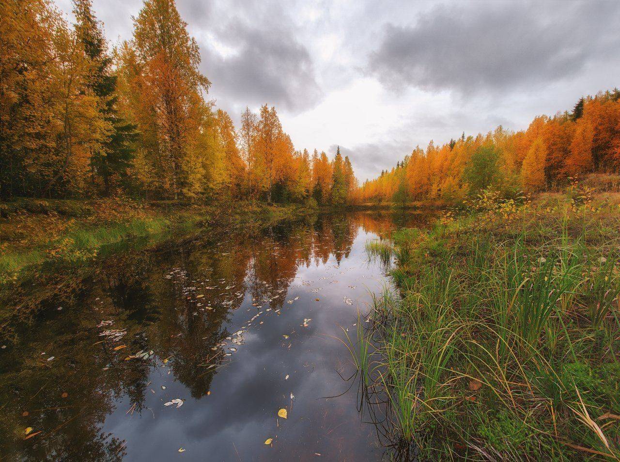 печора,коми,север,осень,золотая,autumn, Игорь Подобаев