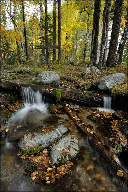 Осенняя фото превью