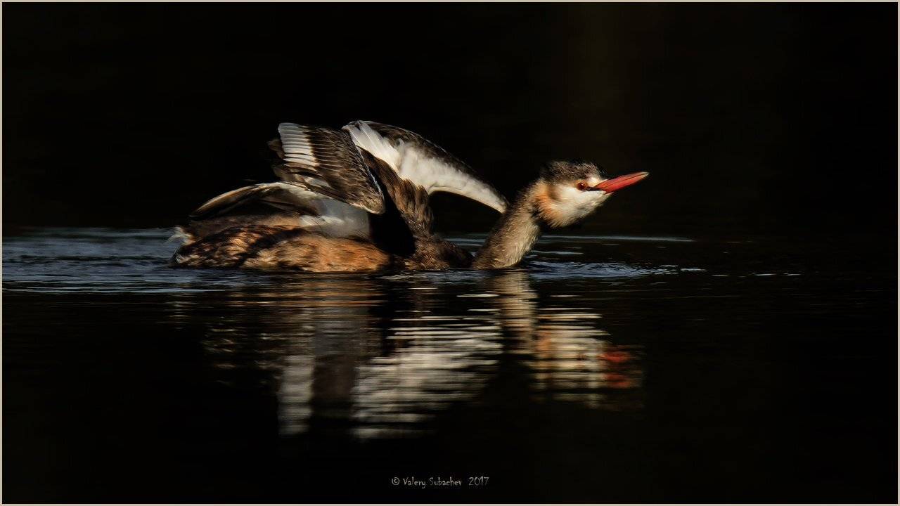 , Валерий Субачев