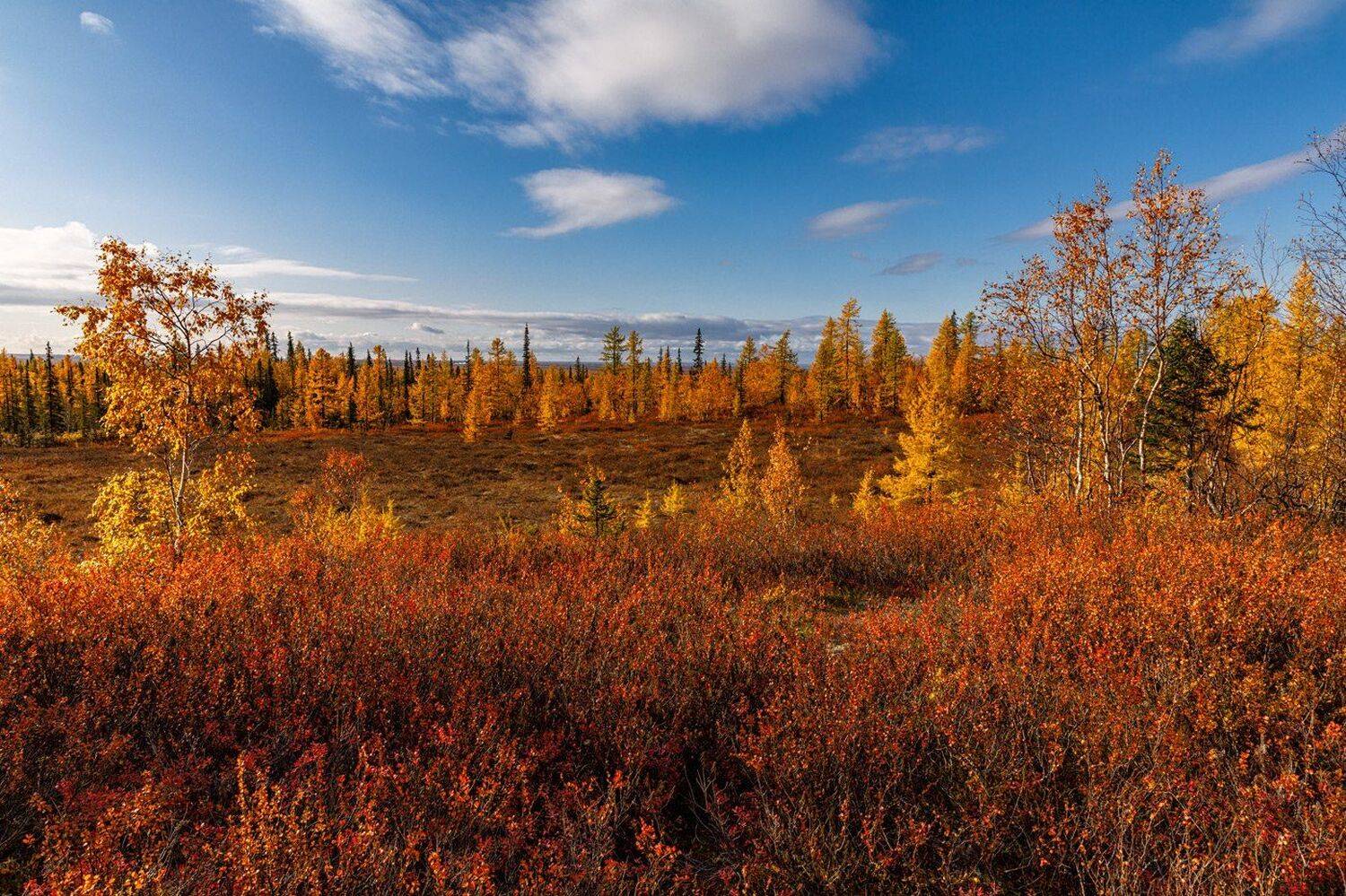 , Евгений Кужилев