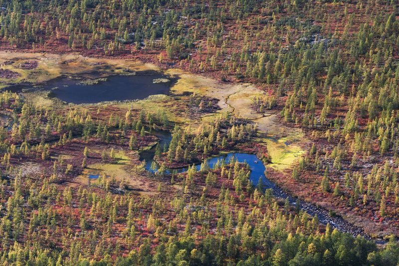 россия, колыма, озеро джека лондона, осень, ручей, река, болото, озеро, неведомый Неведомый фото превью