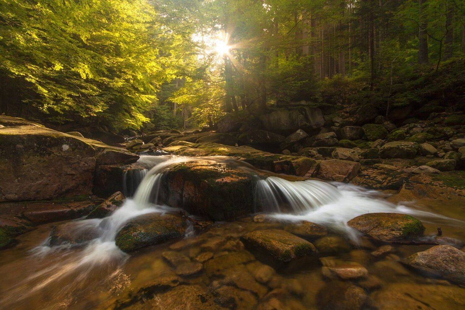 landscape,canon,mist,light,autumn, Iza,Darek