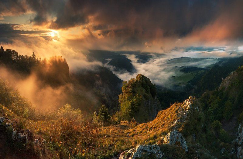 Misty Morning