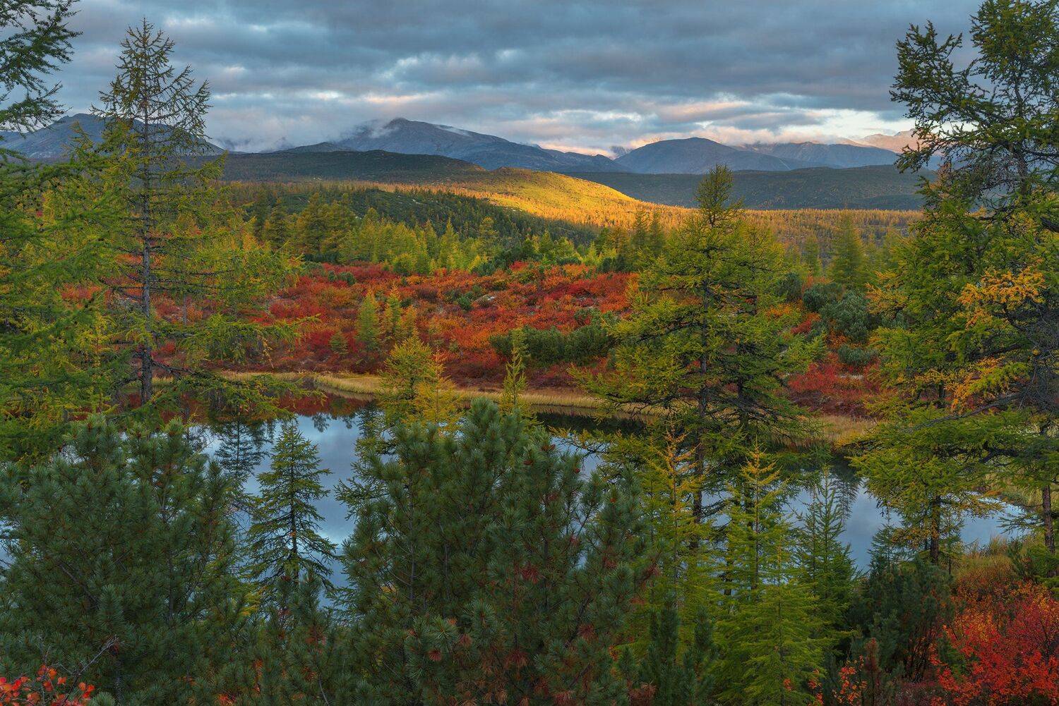 Озеро Джека Лондона, Колыма., Владимир Рябков