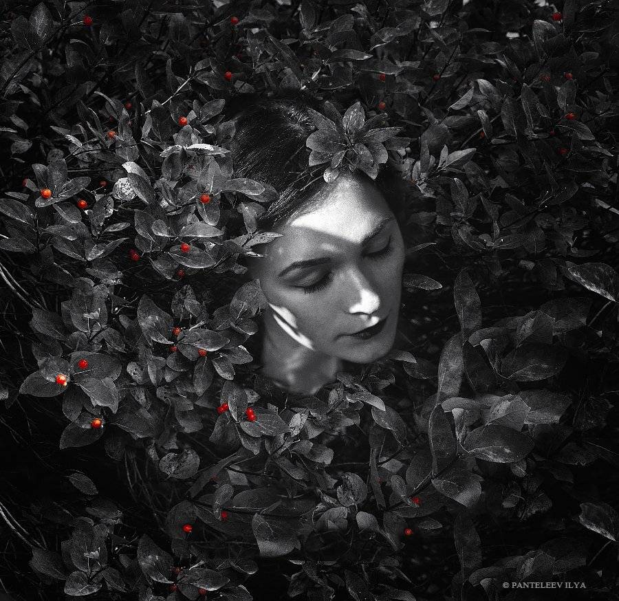 , Пантелеев Илья