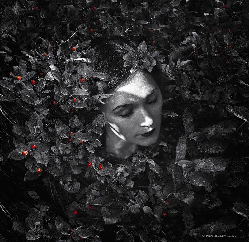 *** фото превью