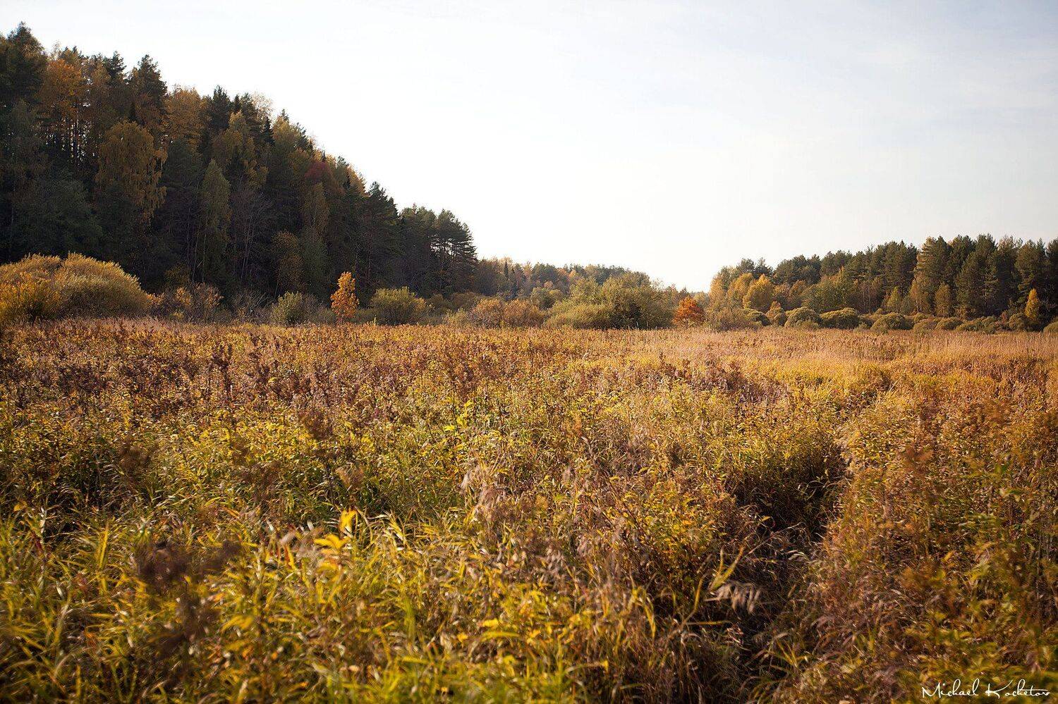 , Кочетов Михаил