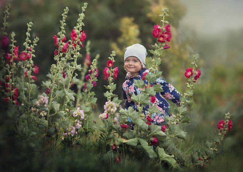 девочка, мальвы В мальвах фото превью