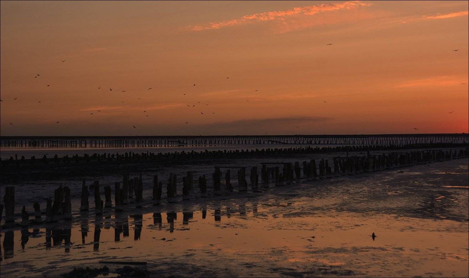 закат зоря темнеет птицы солончак столбы краски путь мордор, Дмитрий Колисниченко