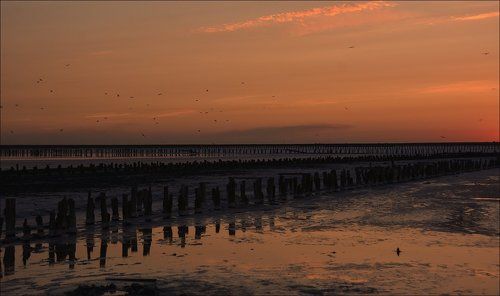 Темнеет: смена декораций или Дорога в Мордор