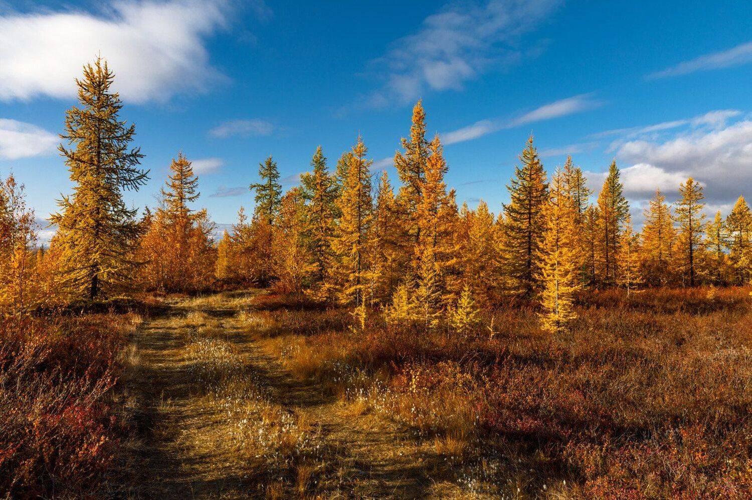 , Евгений Кужилев