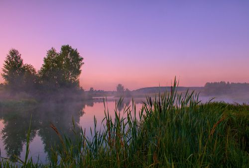 Нежность одного утра