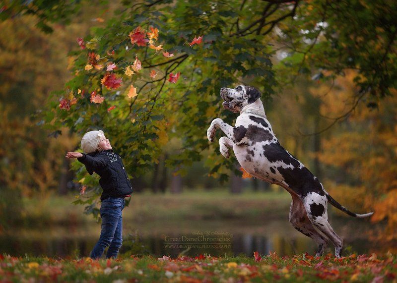 Autumn Extravaganza фото превью