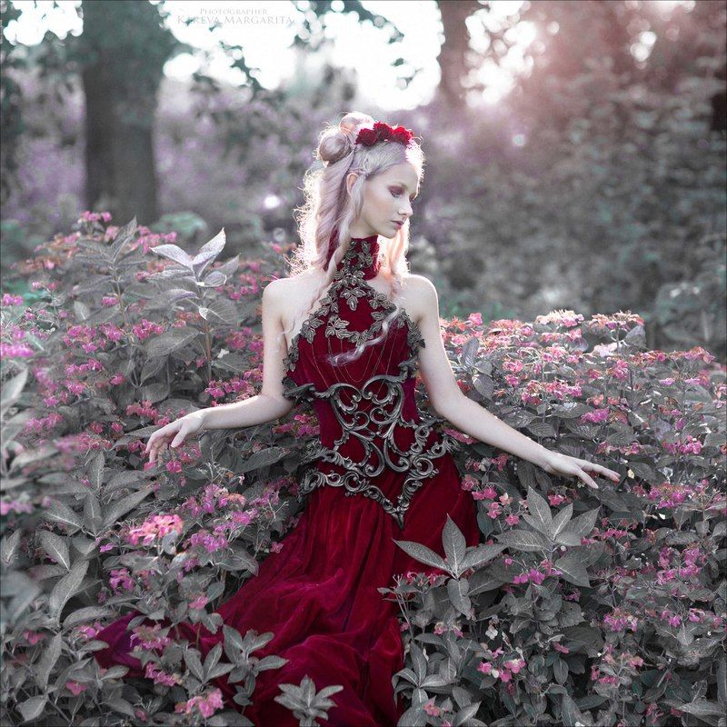 Голландия фото превью