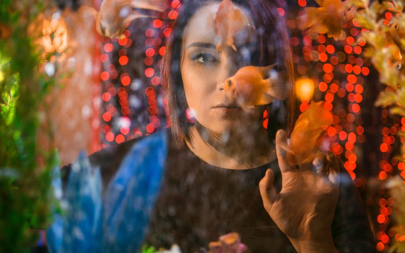 Aquarium фото превью