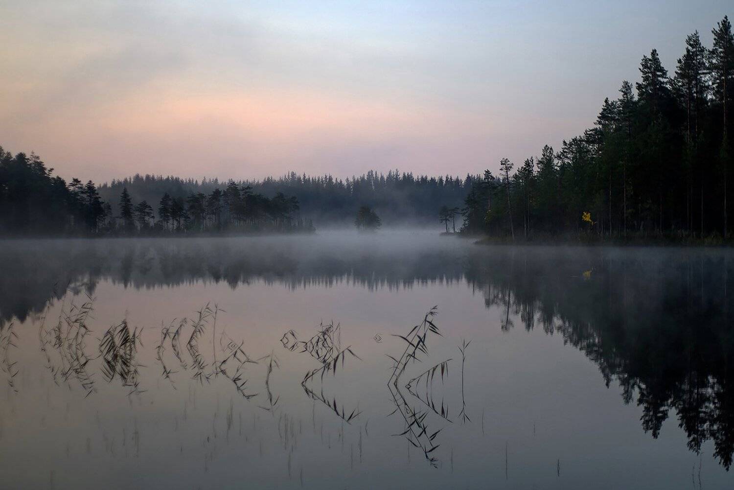 карелия, Виктор