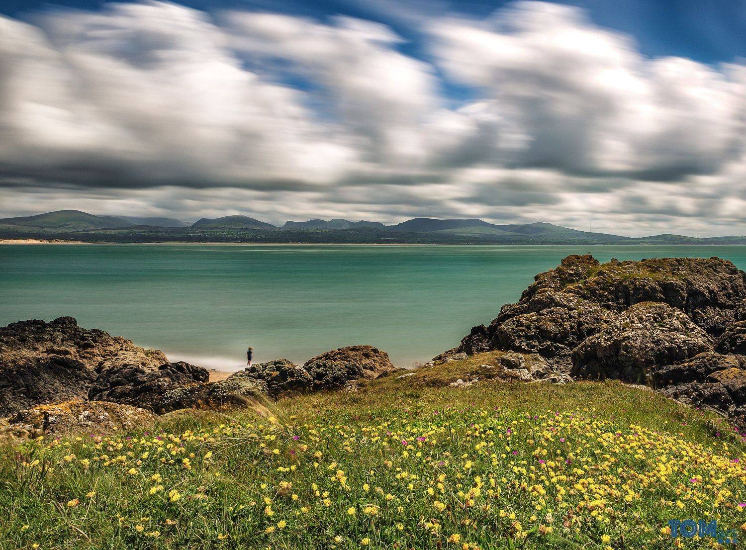sheep wales landscape photography colour longexposure scenery view beautiful uk sky clouds, Tomasz Łyszczek