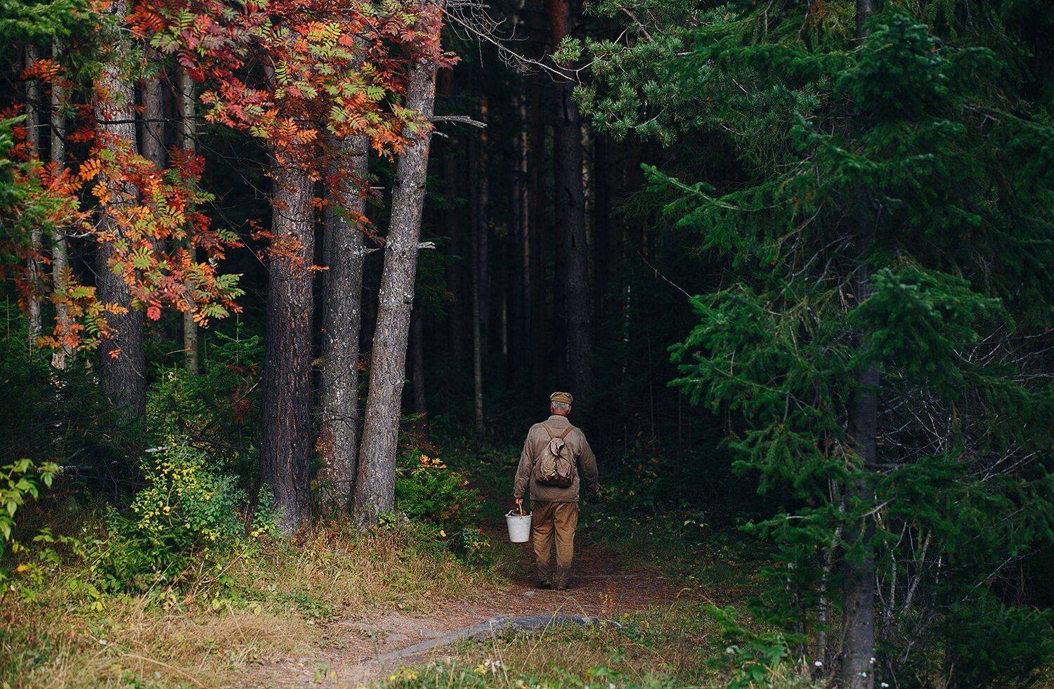осень, лес, природа, грибник, россия, южный урал, златоуст, Евгений Толкачёв