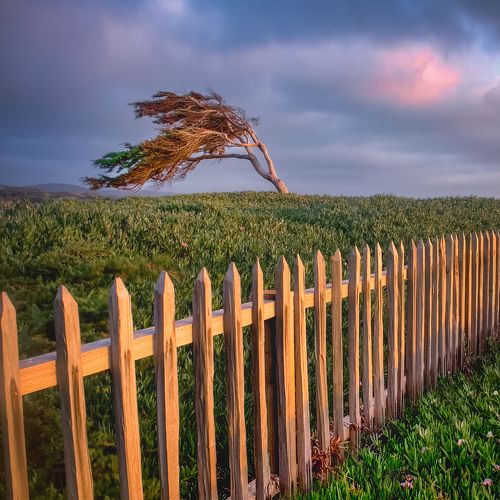 *Пойманный ветер*