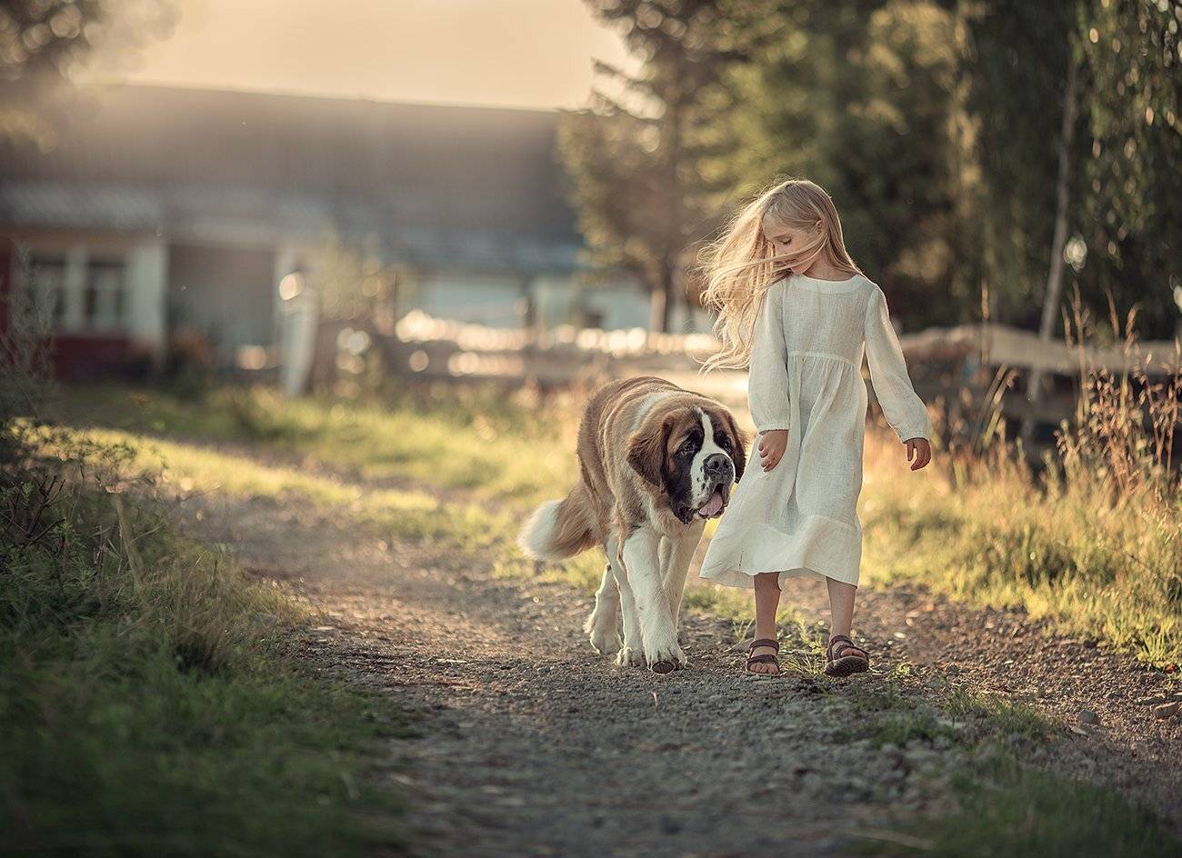 , Дарья Степанова