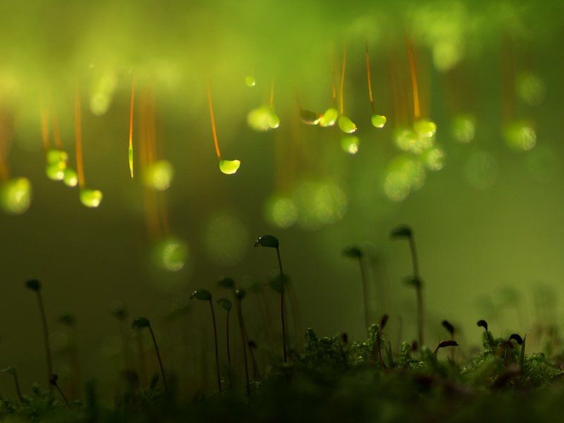 Ангелы и демоны фото превью