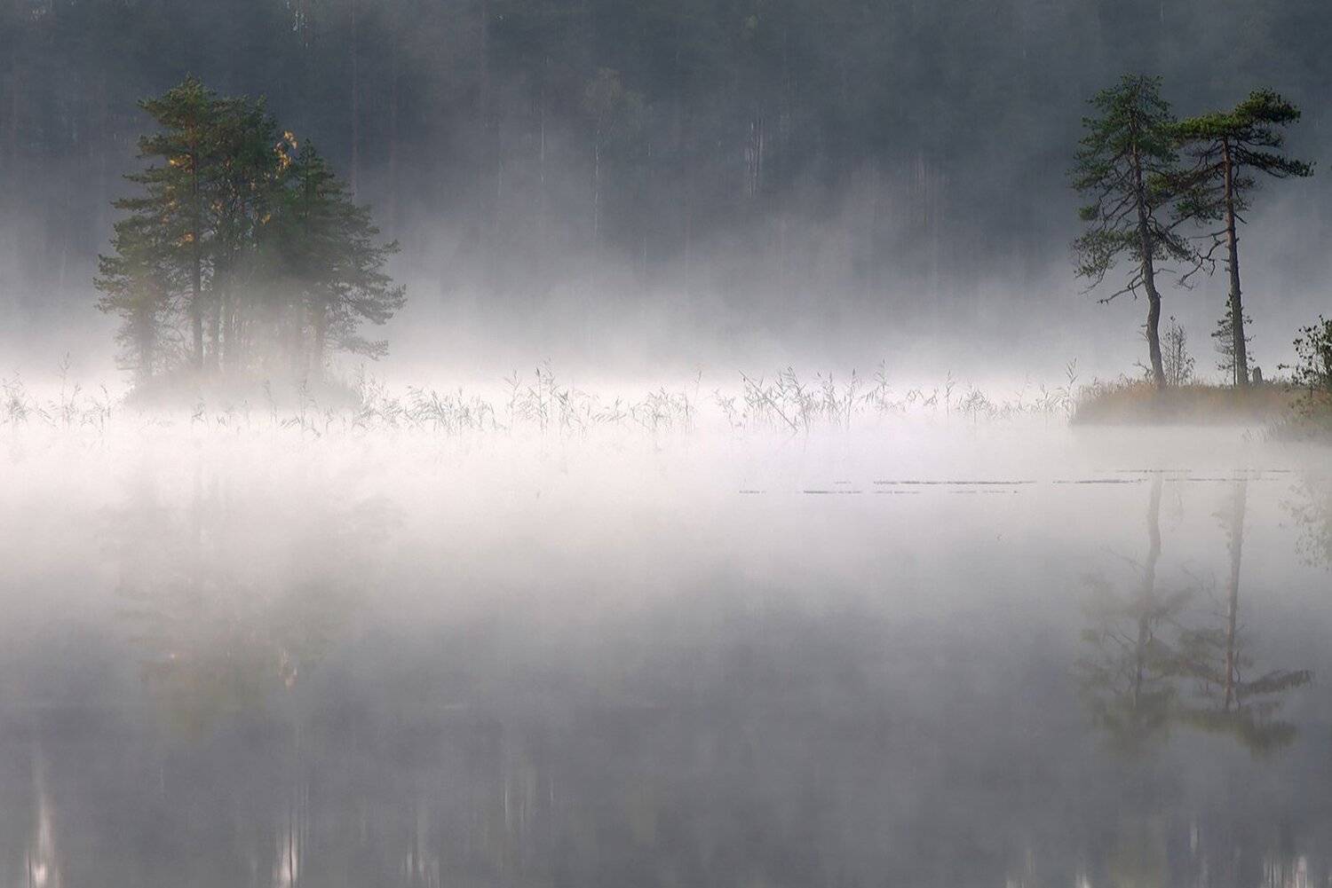 карелия, Виктор