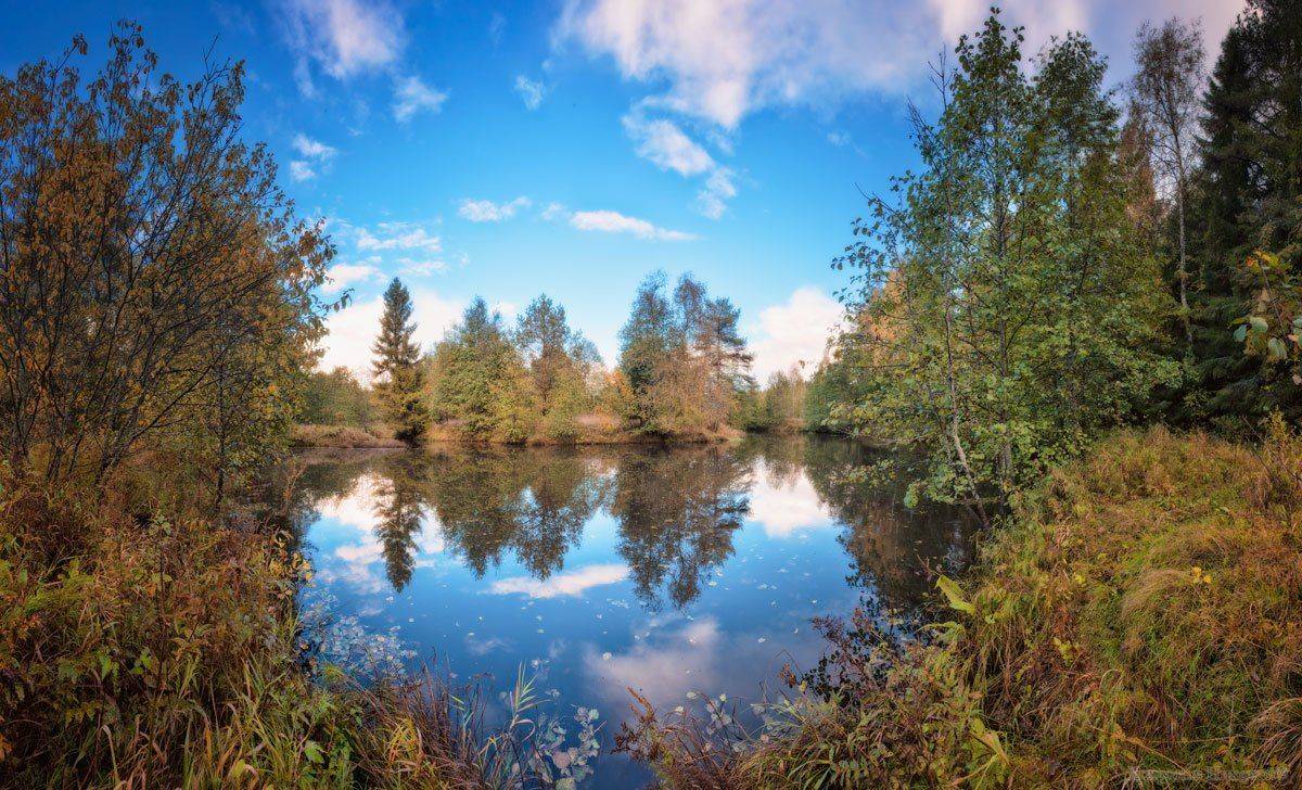 , Хохряков Николай